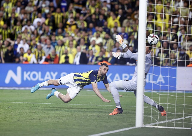 更展示出新 更展示出新