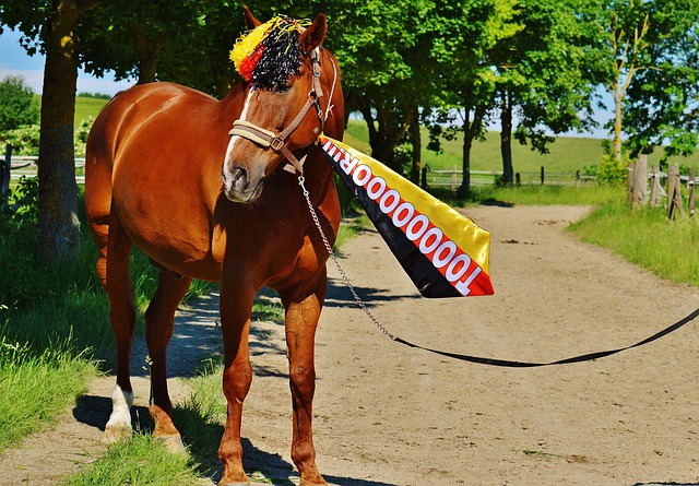 塔克的身体 塔克的身体